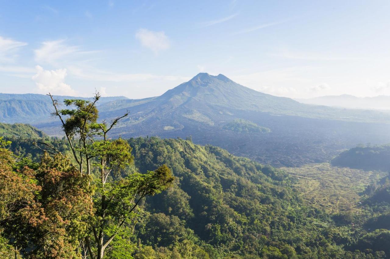Guest house Mount Batur 3*