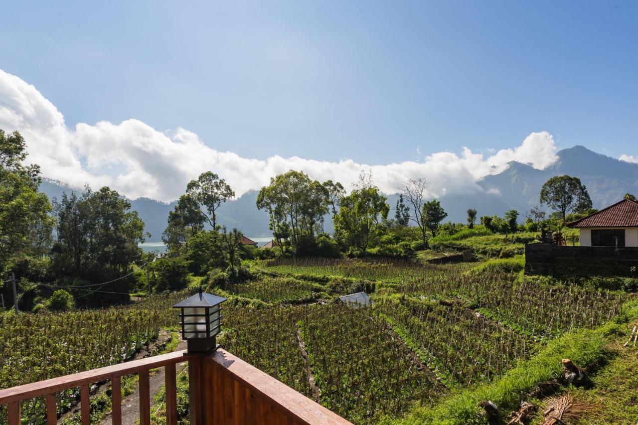 Mount Batur Guest house
